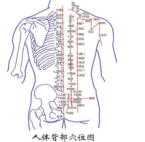 背部有痣代表什麼